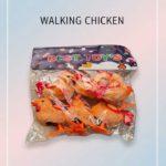 Walking Chicken Wind-Up Toy Set (Pack of 6) - FS010